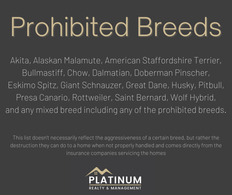 *** PET FRIENDLY *** property image