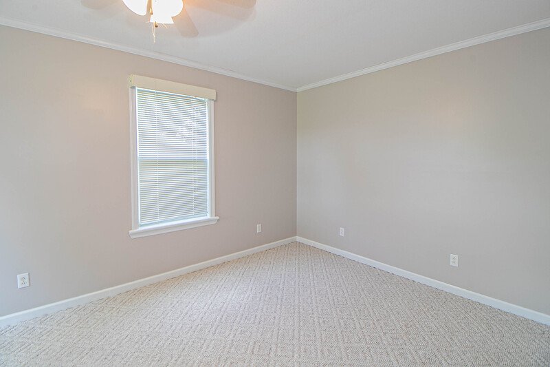 Country views, Peace & Quiet with this 3 bed, 2.5 bath home! property image